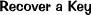 Image:Key Link.jpg