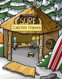 PlayCatchinWaves.jpg