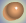 Skin Color