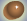 Skin Color