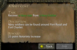 A NAVY COAT